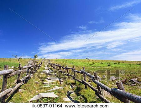 Pathway through grassland View Large Photo Image Picture - Pathway through grassland. Fotosearch