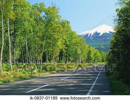 Paved road passing from forest View Large Photo Image Stock Photo - Paved road passing from forest. Fotosearch