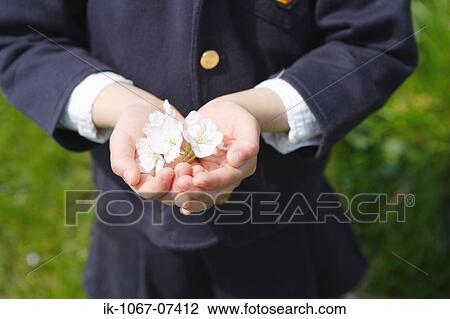 Person holding flowers in cupped hands View Large Photo Image Stock Image - Person holding flowers in cupped hands. Fotosearch