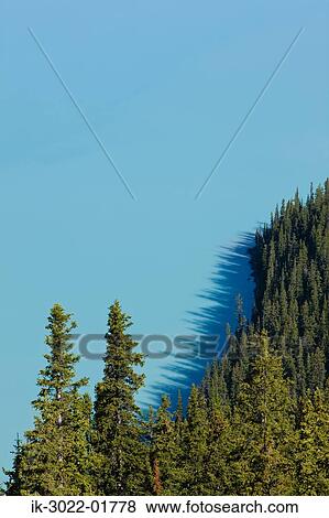 Peyto Lake in the Canadian Rockies View Large Photo Image Stock Photo - Peyto Lake in the Canadian Rockies. Fotosearch