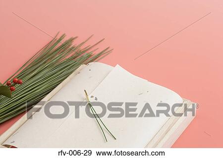Stock Photo - Pine Needle and Box. Fotosearch