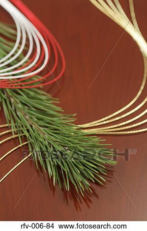 Pine Twig View Large Photo Image Picture - Pine Twig. Fotosearch