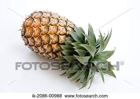 Pineapple on White Background View Large Photo Image Stock Photo - Pineapple on White Background. Fotosearch