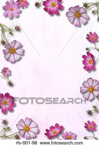 Pink Flower-Motif Paper View Large Photo Image Stock Photo - Pink Flower-Motif Paper. Fotosearch