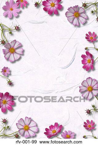 Pink Flower-Motif Paper View Large Photo Image Stock Photo - Pink Flower-Motif Paper. Fotosearch
