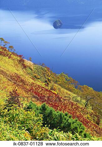 Plant Life growing on seaside View Large Photo Image Stock Photo - Plant Life growing on seaside. Fotosearch