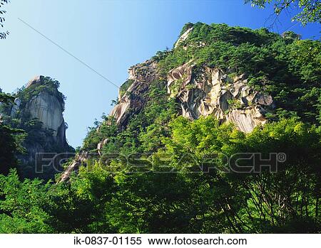 Plants growing on mountains Stock Photography | ik-0837-01155 | Fotosearch