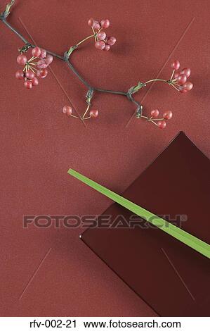 Plate View Large Photo Image Stock Image - Plate. Fotosearch