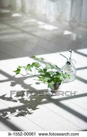 Stock Image - Potted plant lying on floor. Fotosearch