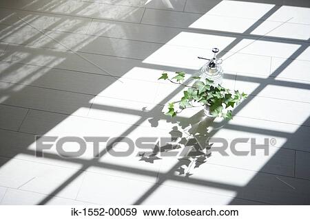 Stock Photo - Potted plant lying on floor. Fotosearch