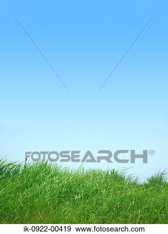 Stock Photo - Prairie Image of Grassland and Blue Sky . Fotosearch