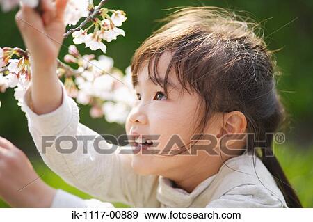 Profile of Japanese girl playing with flowers View Large Photo Image Stock Photo - Profile of Japanese girl playing with flowers. Fotosearch