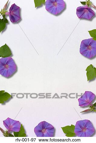 Purple Flower Motif Paper View Large Photo Image Stock Photo - Purple Flower Motif Paper. Fotosearch