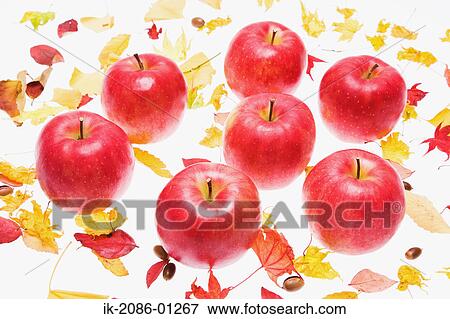 Stock Photo - Red Apples on White Background. Fotosearch