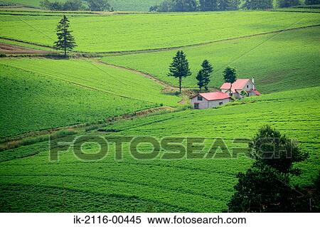 Red barns in a green grassland View Large Photo Image Stock Photography - Red barns in a green grassland. Fotosearch