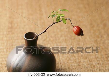 Red Berry on Twig in Vase View Large Photo Image Stock Image - Red Berry on Twig in Vase. Fotosearch