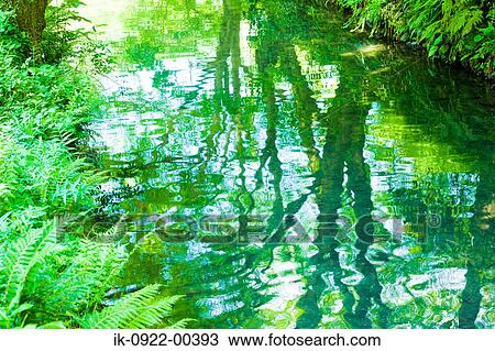 Reflection of Trees in River View Large Photo Image Stock Image - Reflection of Trees in River. Fotosearch