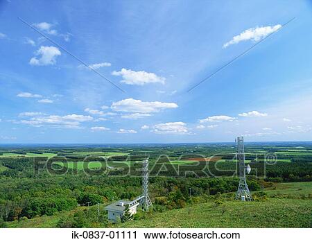 Relay stations with plants View Large Photo Image Stock Image - Relay stations with plants. Fotosearch