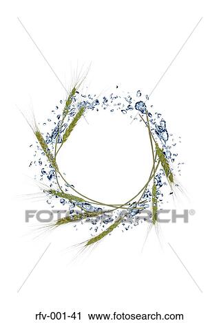 Ring View Large Photo Image Stock Image - Ring. Fotosearch