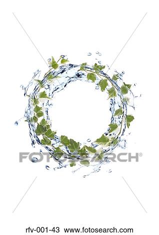 Ring View Large Photo Image Stock Image - Ring. Fotosearch