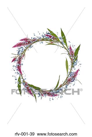Ring View Large Photo Image Stock Photo - Ring. Fotosearch