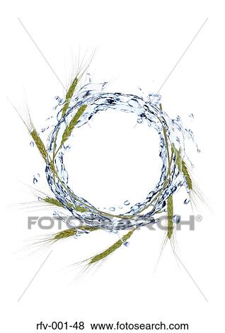 Ring View Large Photo Image Stock Photo - Ring. Fotosearch