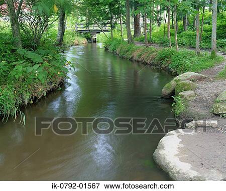 Stock Photo - River Passing Through Forest in Iwate Prefecture, Japan. Fotosearch
