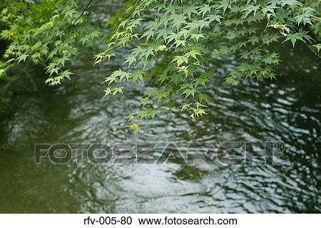River View Large Photo Image Stock Image - River. Fotosearch