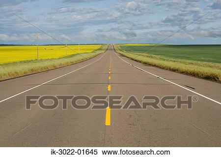 Road Between Two Fields in Alberta, Canada View Large Photo Image Stock Photography - Road Between Two Fields in Alberta, Canada. Fotosearch