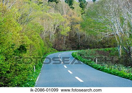 Road Passing Through Beech Forest View Large Photo Image Stock Photo - Road Passing Through Beech Forest. Fotosearch