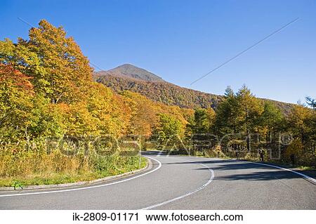 Stock Image - Roadway Through Trees, Fukushimaa Prefecture, Japan. Fotosearch