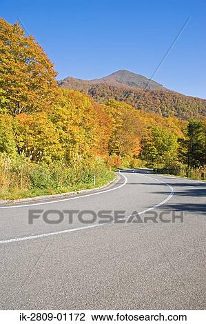 Stock Image - Roadway Through Trees, Fukushimaa Prefecture, Japan. Fotosearch