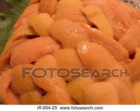 Roe View Large Photo Image Stock Photography - Roe. Fotosearch