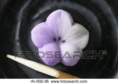 Sakura Candy View Large Photo Image Stock Photograph - Sakura Candy. Fotosearch