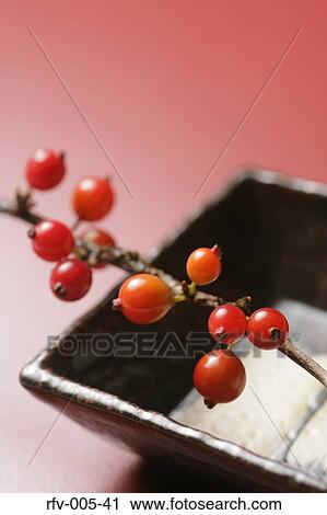 Sakura Cherries View Large Photo Image Stock Image - Sakura Cherries. Fotosearch