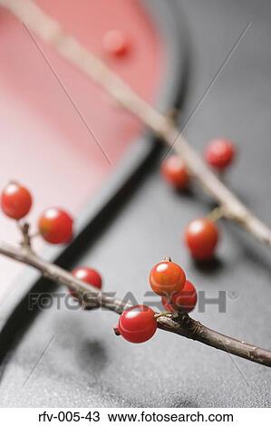 Sakura Cherries View Large Photo Image Stock Image - Sakura Cherries. Fotosearch