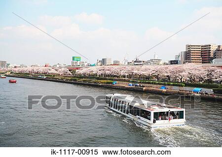 Sakura View Large Photo Image Stock Photography - Sakura. Fotosearch