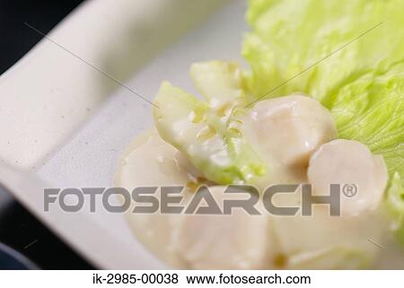 Stock Photo - Scallop with Cream Sauce. Fotosearch