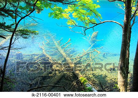 Scenic View of Akan National Park in Hokkaido, Japan View Large Photo Image Stock Image - Scenic View of Akan National Park in Hokkaido, Japan. Fotosearch