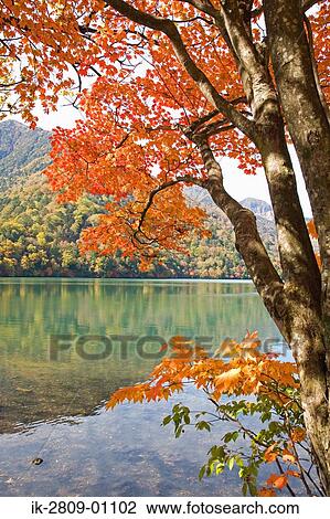 Scenic View of Mountain and Lake, Tochigi Prefecture, Japan View Large Photo Image Stock Image - Scenic View of Mountain and Lake, Tochigi Prefecture, Japan. Fotosearch