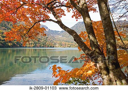 Scenic View of Mountain and Lake, Tochigi Prefecture, Japan View Large Photo Image Stock Image - Scenic View of Mountain and Lake, Tochigi Prefecture, Japan. Fotosearch