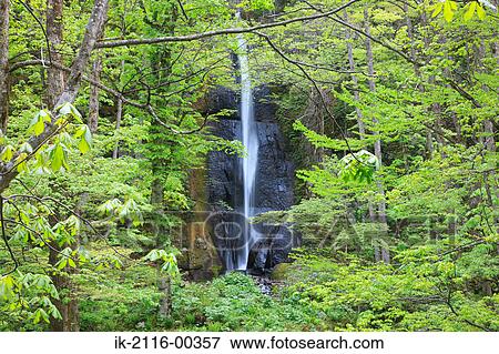 Stock Photo - Scenic View of Oirase Stream, Aomori Prefecture, Japan. Fotosearch