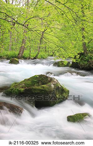 Scenic View of Oirase Stream, Aomori Prefecture, Japan View Large Photo Image Stock Photography - Scenic View of Oirase Stream, Aomori Prefecture, Japan. Fotosearch