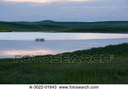 Scenic View of Prairie with Lake View Large Photo Image Stock Image - Scenic View of Prairie with Lake . Fotosearch