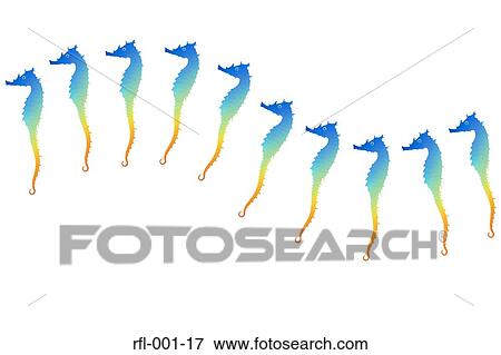 Stock Photo - Seahorse. Fotosearch