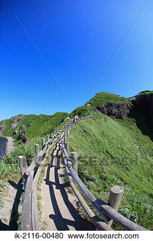 Stock Image - Seaside wooden track in sloping hills. Fotosearch