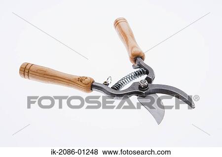 Secateurs on White Background View Large Photo Image Stock Photo - Secateurs on White Background. Fotosearch