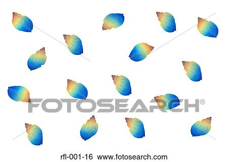 Shells View Large Photo Image Stock Photograph - Shells. Fotosearch