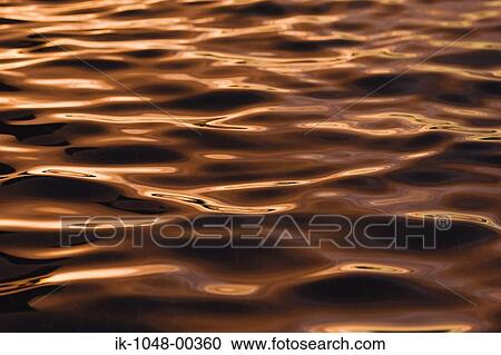 Shimmering water rippples of sea at dusk View Large Photo Image Stock Image - Shimmering water rippples of sea at dusk. Fotosearch