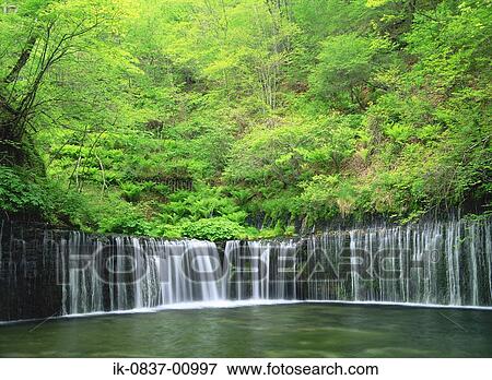 Stock Photo - Shiraito Falls at Nagano Prefecture, Japan. Fotosearch